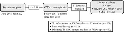 Influence of chronic kidney disease and its severity on the efficacy of semaglutide in type 2 diabetes patients: a multicenter real-world study